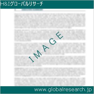 グローバルリサーチ調査レポートのイメージ